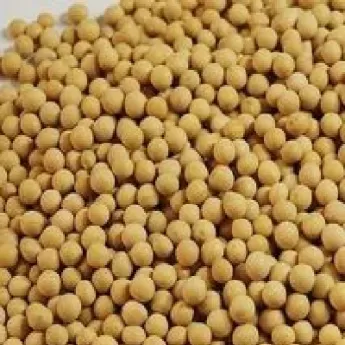 大豆期货能做空吗(大豆期货一手是多少吨)_期货交易_第1张_青花期货直播间 大豆期货能做空吗(大豆期货一手是多少吨)_https://qh.ynbygsw.com_期货交易_第1张