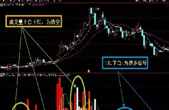成交量期货指标公式(期货的成交量怎么看)_期货交易_第1张_青花期货直播间 成交量期货指标公式(期货的成交量怎么看)_https://qh.ynbygsw.com_期货交易_第1张