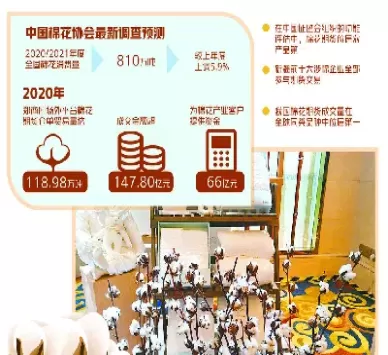 棉花期货投资攻略(棉花期货如何盈利)_财金知识_第1张_青花期货直播间 棉花期货投资攻略(棉花期货如何盈利)_https://qh.ynbygsw.com_财金知识_第1张