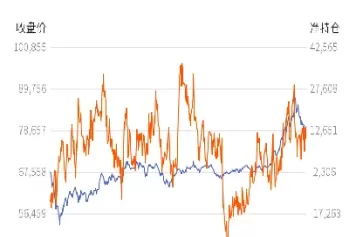 期货总持仓和净持仓差异(期货总持仓是什么意思)_财金知识_第1张_青花期货直播间 期货总持仓和净持仓差异(期货总持仓是什么意思)_https://qh.ynbygsw.com_财金知识_第1张