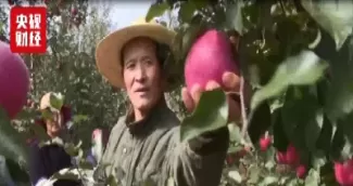 苹果期货可以抄底了(苹果期货可以抄底了吗)_期货直播_第1张_青花期货直播间 苹果期货可以抄底了(苹果期货可以抄底了吗)_https://qh.ynbygsw.com_期货直播_第1张