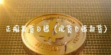 什么是白银期货交易及其规则(白银期货如何交易需要什么条件)_国际期货_第1张_青花期货直播间 什么是白银期货交易及其规则(白银期货如何交易需要什么条件)_https://qh.ynbygsw.com_国际期货_第1张