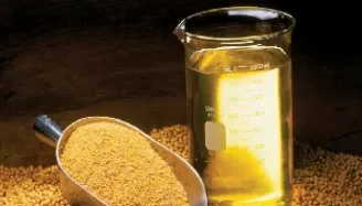 期货菜油有什么用(期货菜油手续费和佣金)_期货喊单_第1张_青花期货直播间 期货菜油有什么用(期货菜油手续费和佣金)_https://qh.ynbygsw.com_期货喊单_第1张