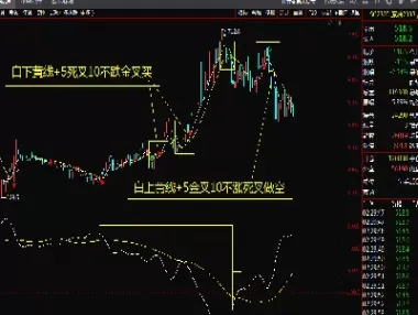 商品期货可以抱住做波段吗(商品期货可以持仓多久)_期货喊单_第1张_青花期货直播间 商品期货可以抱住做波段吗(商品期货可以持仓多久)_https://qh.ynbygsw.com_期货喊单_第1张