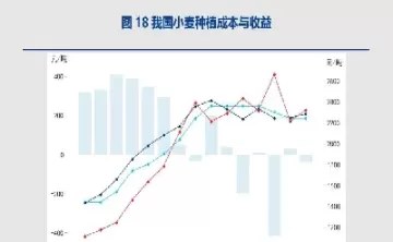 一个小麦期货中做(小麦期货一手是多少吨)_财金知识_第1张_青花期货直播间 一个小麦期货中做(小麦期货一手是多少吨)_https://qh.ynbygsw.com_财金知识_第1张