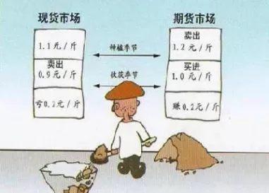 实物期货套期保值(期货怎么实现套期保值)_财金百科_第1张_青花期货直播间 实物期货套期保值(期货怎么实现套期保值)_https://qh.ynbygsw.com_财金百科_第1张