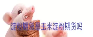 淀粉期货收于2314(淀粉期货最新行情)_财金知识_第1张_青花期货直播间 淀粉期货收于2314(淀粉期货最新行情)_https://qh.ynbygsw.com_财金知识_第1张