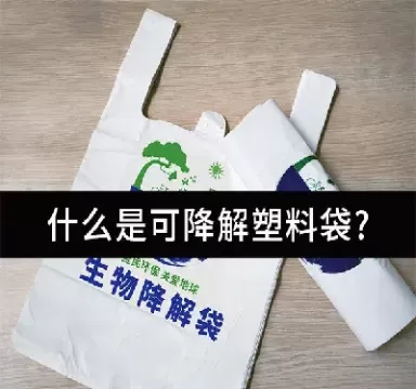 塑料期货可降解塑料(可降解塑料期货)_财金百科_第1张_青花期货直播间 塑料期货可降解塑料(可降解塑料期货)_https://qh.ynbygsw.com_财金百科_第1张