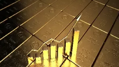 期货股票黄金基金(期货黄金外汇股票)_https://qh.ynbygsw.com_期货喊单_第1张