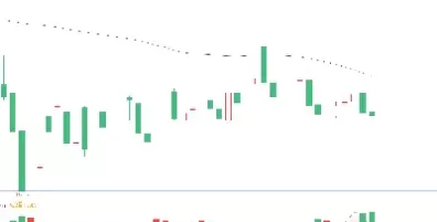期货走势图线都表示什么意思(期货走势图线都表示什么意思)_财金知识_第1张_青花期货直播间 期货走势图线都表示什么意思(期货走势图线都表示什么意思)_https://qh.ynbygsw.com_财金知识_第1张