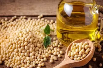 大连大豆油期货最新价(大连大豆油期货最新价格表)_期货交易_第1张_青花期货直播间 大连大豆油期货最新价(大连大豆油期货最新价格表)_https://qh.ynbygsw.com_期货交易_第1张