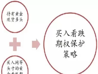用期权给期货做保护的策略(用期权给期货做保护的策略是什么)_财金百科_第1张_青花期货直播间 用期权给期货做保护的策略(用期权给期货做保护的策略是什么)_https://qh.ynbygsw.com_财金百科_第1张