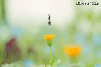 清明节期货什么时候开始交易(国内期货清明节交易时间)_财金百科_第1张_青花期货直播间 清明节期货什么时候开始交易(国内期货清明节交易时间)_https://qh.ynbygsw.com_财金百科_第1张