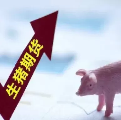 生猪期货要上市(生猪期货上市时间和交易所)_期货交易_第1张_青花期货直播间 生猪期货要上市(生猪期货上市时间和交易所)_https://qh.ynbygsw.com_期货交易_第1张