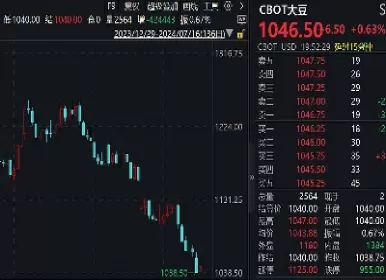 豆粕期货期权在交易时间(豆粕期货期权对冲)_https://qh.ynbygsw.com_财金百科_第1张