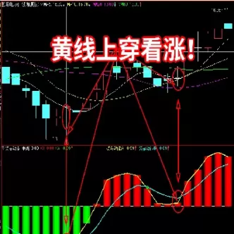 期货资金动能指标(期货主力资金曲线指标)_期货直播_第1张_青花期货直播间 期货资金动能指标(期货主力资金曲线指标)_https://qh.ynbygsw.com_期货直播_第1张