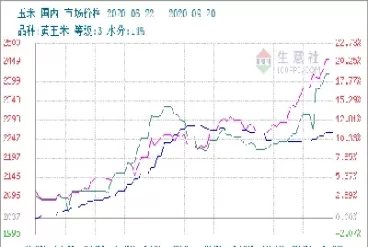 期货玉米价格行情走势(期货玉米价格行情走势图)_期货喊单_第1张_青花期货直播间 期货玉米价格行情走势(期货玉米价格行情走势图)_https://qh.ynbygsw.com_期货喊单_第1张