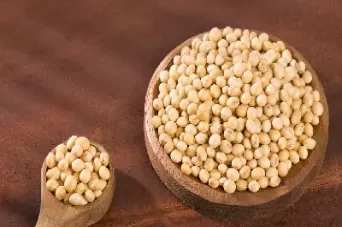 美豆与国内哪个期货最紧密(美豆期货实时行情k线图)_期货交易_第1张_青花期货直播间 美豆与国内哪个期货最紧密(美豆期货实时行情k线图)_https://qh.ynbygsw.com_期货交易_第1张