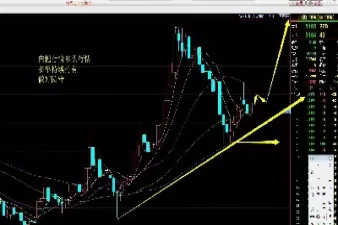 电大期货交易实务(高校期货交易讲义)_财金百科_第1张_青花期货直播间 电大期货交易实务(高校期货交易讲义)_https://qh.ynbygsw.com_财金百科_第1张