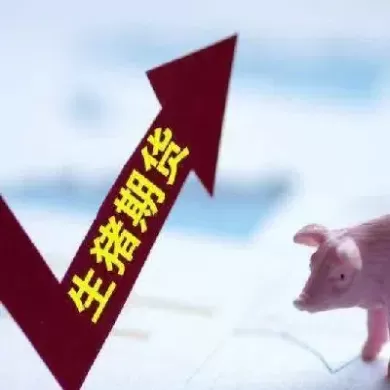 生猪上期货对股价是好是坏(生猪期货上市对股票有什么影响)_期货直播_第1张_青花期货直播间 生猪上期货对股价是好是坏(生猪期货上市对股票有什么影响)_https://qh.ynbygsw.com_期货直播_第1张