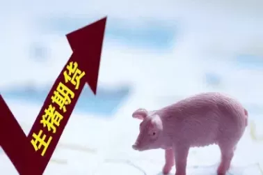 猪肉期货的意义(期货猪肉是什么肉)_财金百科_第1张_青花期货直播间 猪肉期货的意义(期货猪肉是什么肉)_https://qh.ynbygsw.com_财金百科_第1张