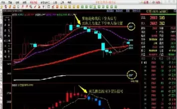 期货交易怎么杠杆交易(期货怎么使用杠杆交易)_期货直播_第1张_青花期货直播间 期货交易怎么杠杆交易(期货怎么使用杠杆交易)_https://qh.ynbygsw.com_期货直播_第1张