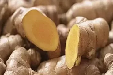 生姜期货在哪交易(生姜期货怎样交易)_财金知识_第1张_青花期货直播间 生姜期货在哪交易(生姜期货怎样交易)_https://qh.ynbygsw.com_财金知识_第1张