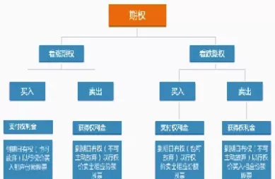 期权和期货权利义务的区别(期权和期货是什么意思)_国际期货_第1张_青花期货直播间 期权和期货权利义务的区别(期权和期货是什么意思)_https://qh.ynbygsw.com_国际期货_第1张