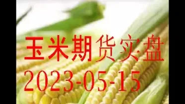期货玉米2828是啥意思(期货玉米2303意思)_国际期货_第1张_青花期货直播间 期货玉米2828是啥意思(期货玉米2303意思)_https://qh.ynbygsw.com_国际期货_第1张