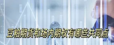 豆粕期货连续(豆粕期货价格)_财金知识_第1张_青花期货直播间 豆粕期货连续(豆粕期货价格)_https://qh.ynbygsw.com_财金知识_第1张