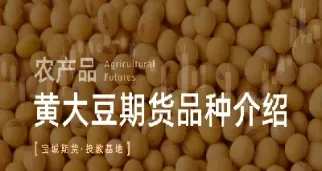 大豆期货的最新研究(大豆期货最新分析)_期货交易_第1张_青花期货直播间 大豆期货的最新研究(大豆期货最新分析)_https://qh.ynbygsw.com_期货交易_第1张