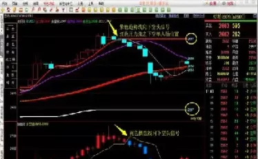 期货杠杆谁来补(期货杠杆原理是什么)_国际期货_第1张_青花期货直播间 期货杠杆谁来补(期货杠杆原理是什么)_https://qh.ynbygsw.com_国际期货_第1张