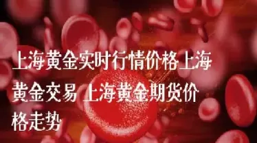 上海期货黄金交易(上海期货黄金交易量)_国际期货_第1张_青花期货直播间 上海期货黄金交易(上海期货黄金交易量)_https://qh.ynbygsw.com_国际期货_第1张