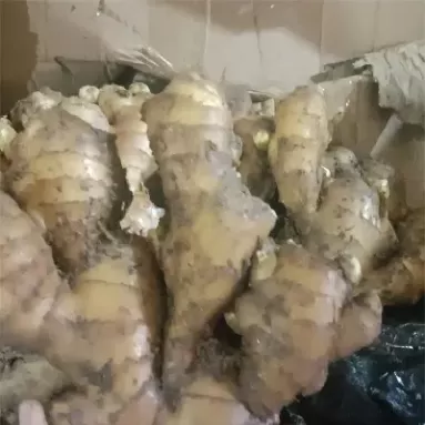 生姜期货哪里可以做(生姜期货走势分析)_https://qh.ynbygsw.com_财金知识_第1张
