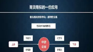 期货的期权是什么(期货的期权是啥意思)_财金知识_第1张_青花期货直播间 期货的期权是什么(期货的期权是啥意思)_https://qh.ynbygsw.com_财金知识_第1张