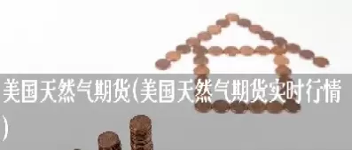 期货中天然气用什么字母表示的(期货的天然气价格是什么单位)_期货喊单_第1张_青花期货直播间 期货中天然气用什么字母表示的(期货的天然气价格是什么单位)_https://qh.ynbygsw.com_期货喊单_第1张
