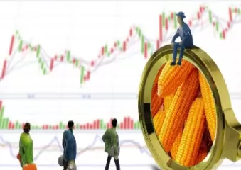 期货玉米1234什么意思(期货玉米是几等玉米)_财金百科_第1张_青花期货直播间 期货玉米1234什么意思(期货玉米是几等玉米)_https://qh.ynbygsw.com_财金百科_第1张