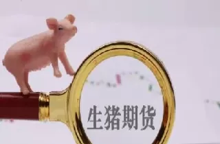 猪肉期货2201啥意思(生猪2201期货最新行情)_https://qh.ynbygsw.com_期货直播_第1张
