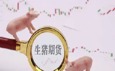 生猪期货2107挂盘基准价(生猪期货2109交割价格)_财金百科_第1张_青花期货直播间 生猪期货2107挂盘基准价(生猪期货2109交割价格)_https://qh.ynbygsw.com_财金百科_第1张