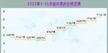 猪肉期货历史走势(猪肉期货走势图分析)_期货喊单_第1张_青花期货直播间 猪肉期货历史走势(猪肉期货走势图分析)_https://qh.ynbygsw.com_期货喊单_第1张