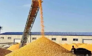 玉米期货一手手续费十二块贵吗(玉米期货一手手续费12元贵吗)_财金知识_第1张_青花期货直播间 玉米期货一手手续费十二块贵吗(玉米期货一手手续费12元贵吗)_https://qh.ynbygsw.com_财金知识_第1张