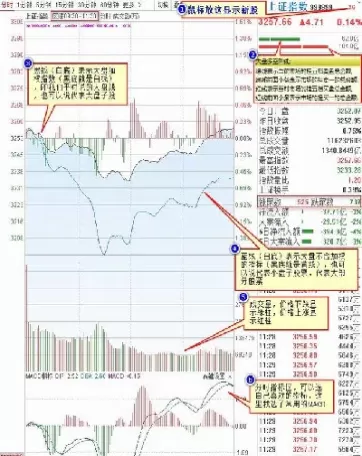 期货外汇分时图看盘技巧(外汇黄金分时图看盘技巧)_国际期货_第1张_青花期货直播间 期货外汇分时图看盘技巧(外汇黄金分时图看盘技巧)_https://qh.ynbygsw.com_国际期货_第1张