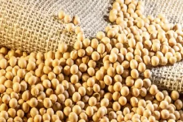 大豆期货市场指什么(大豆期货是哪个交易所)_财金百科_第1张_青花期货直播间 大豆期货市场指什么(大豆期货是哪个交易所)_https://qh.ynbygsw.com_财金百科_第1张