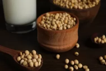 期货中豆一与豆二的不同(豆二豆一期货分别是什么)_财金百科_第1张_青花期货直播间 期货中豆一与豆二的不同(豆二豆一期货分别是什么)_https://qh.ynbygsw.com_财金百科_第1张