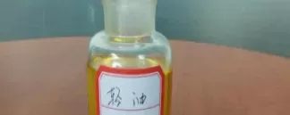 期货里的郑油是什么油(期货郑油受什么影响)_期货喊单_第1张_青花期货直播间 期货里的郑油是什么油(期货郑油受什么影响)_https://qh.ynbygsw.com_期货喊单_第1张