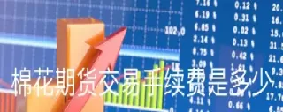 棉花期货利好股票(棉花期货大涨利好什么股票)_财金知识_第1张_青花期货直播间 棉花期货利好股票(棉花期货大涨利好什么股票)_https://qh.ynbygsw.com_财金知识_第1张