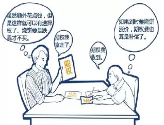 外汇期货如何判定方向期权(外汇期权和外汇期货的区别)_https://qh.ynbygsw.com_财金知识_第1张