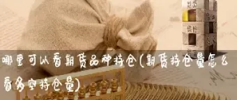 期货合约的多空持仓情况(期货合约多空持仓情况)_https://qh.ynbygsw.com_期货交易_第1张