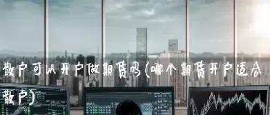 期货怎么确认散户的持有量(期货散户有成功的吗)_https://qh.ynbygsw.com_国际期货_第1张