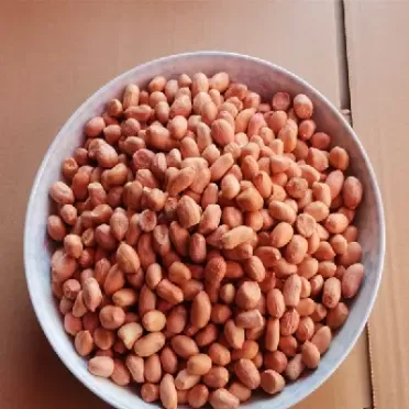 花生仁期货代码什么意思(花生期货代码什么意思)_https://qh.ynbygsw.com_期货喊单_第1张